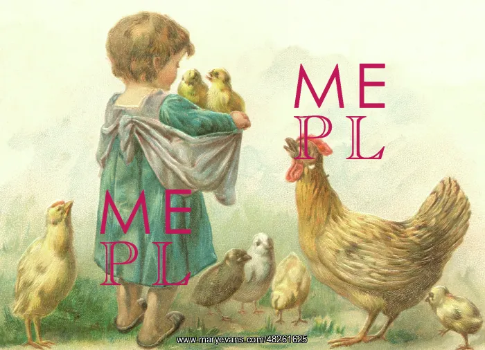: Little girl with chicks : Little girl with chicks