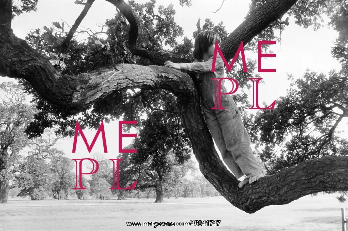 : Little girl climbing a tree : Little girl climbing a tree