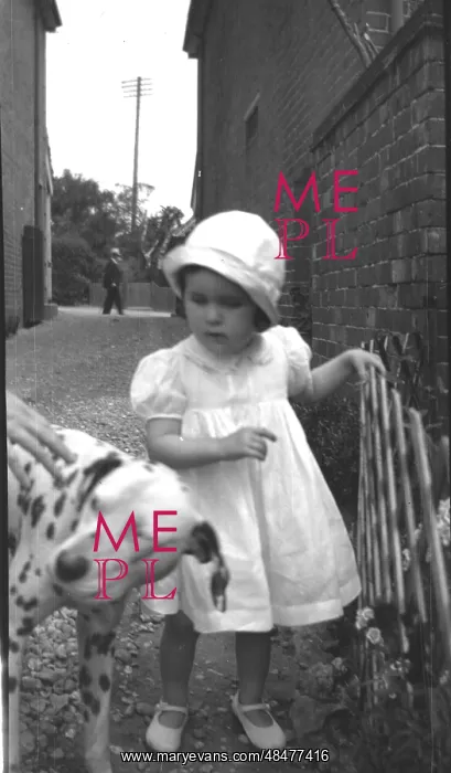  : A little girl and a dalmatian