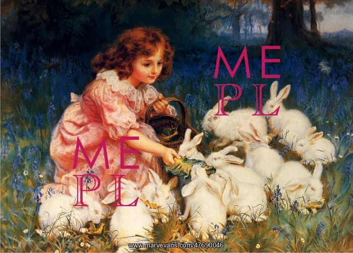 : Little girl feeding rabbits : Little girl feeding rabbits
