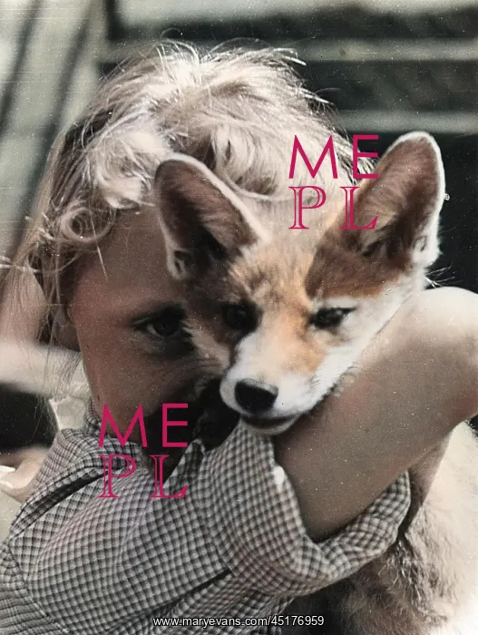  : Little girl with fox cub