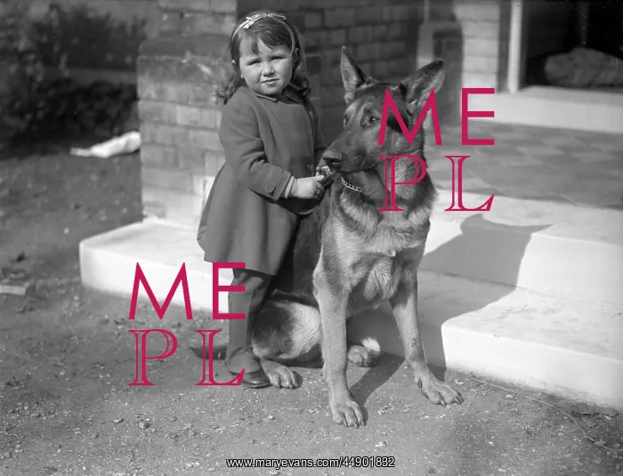 : Little girl and her German Shepherd dog : Little girl and her German Shepherd dog