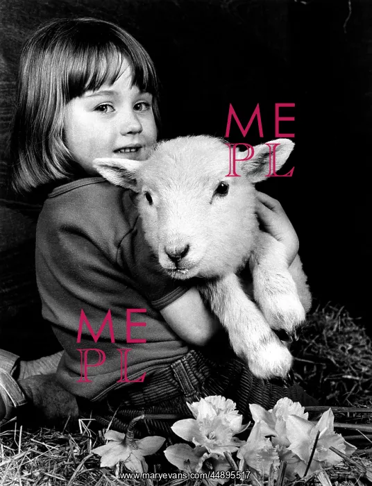  : Little girl holding a lamb
