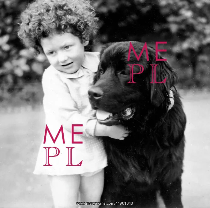: Little girl and her large dog : Little girl and her large dog