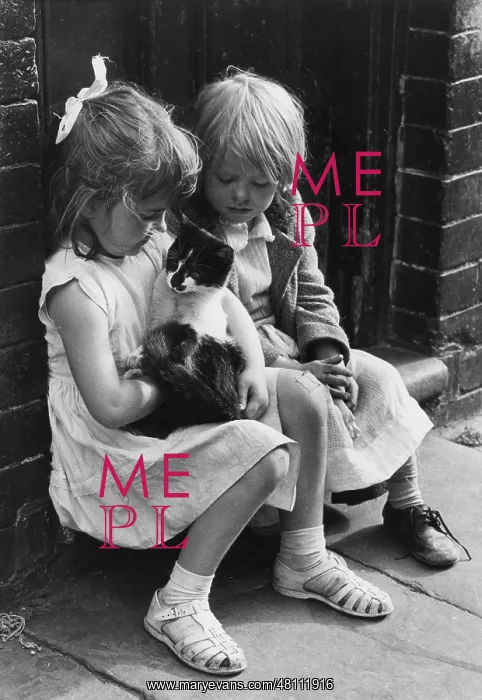 : Two little girls with a cat : Two little girls with a cat
