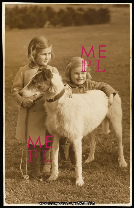 : TWO LITTLE GIRLS AND DOG : TWO LITTLE GIRLS AND DOG