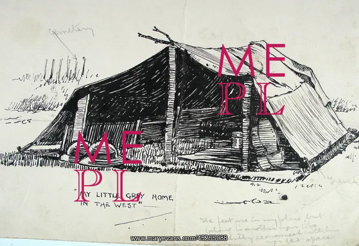 : My little grey home in the West : My little grey home in the West