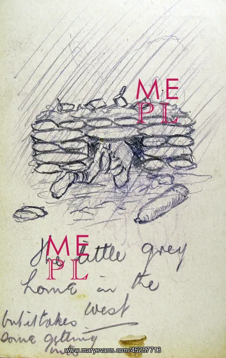 : The little grey home in the West : The little grey home in the West