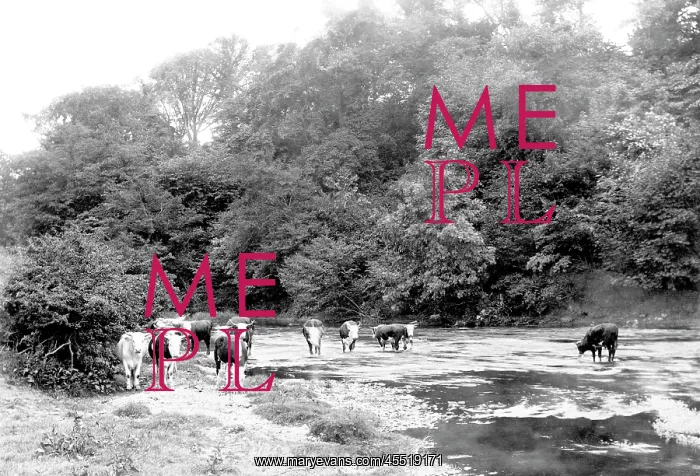  : Little Hereford, River Teme 1898