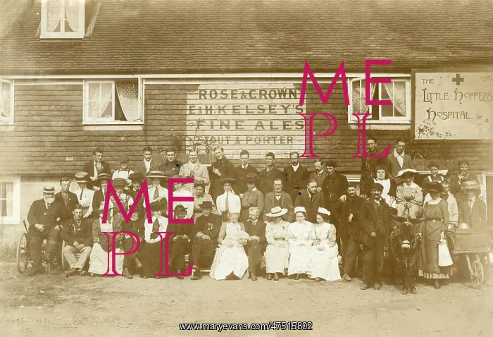 : The Little Hoppers Hospital : The Little Hoppers Hospital
