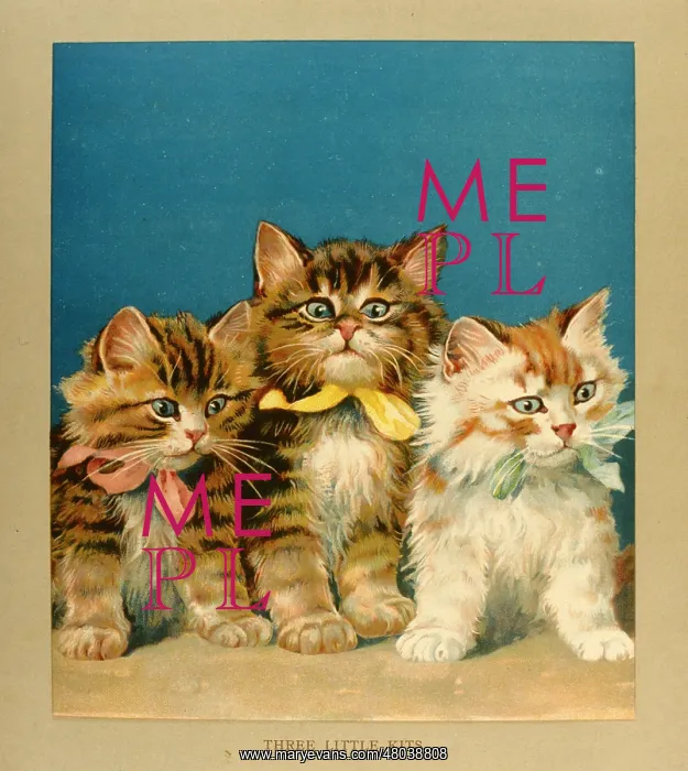  : Three Little Kits