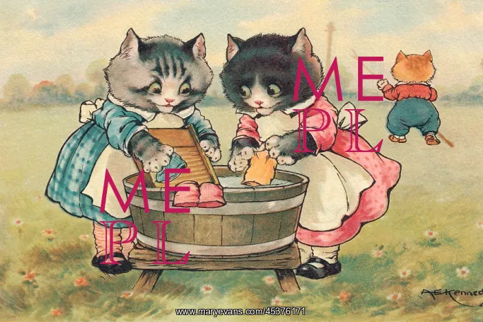 : Three Little Kittens : Three Little Kittens