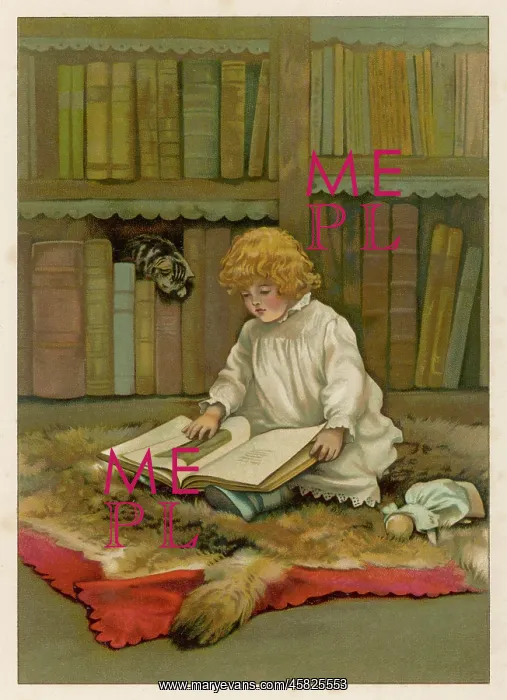 : THE LITTLE LIBRARIAN : THE LITTLE LIBRARIAN