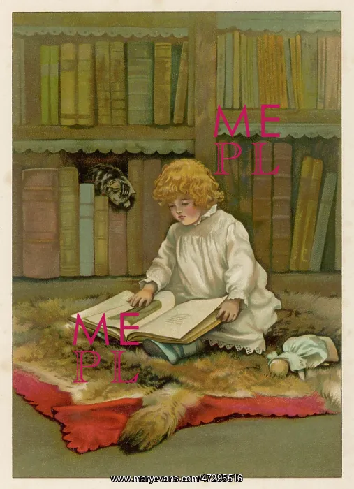 : THE LITTLE LIBRARIAN : THE LITTLE LIBRARIAN