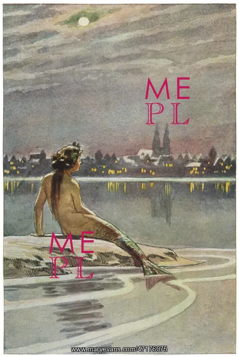 : The Little Mermaid sits on a rock : The Little Mermaid sits on a rock