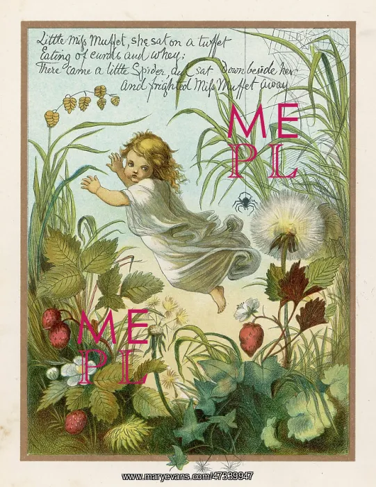 : LITTLE MISS MUFFET (EVB) : LITTLE MISS MUFFET (EVB)