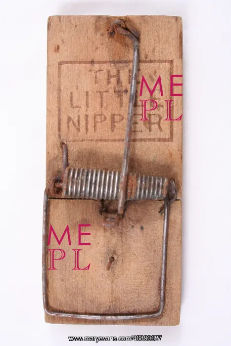 : The Little Nipper mouse trap : The Little Nipper mouse trap