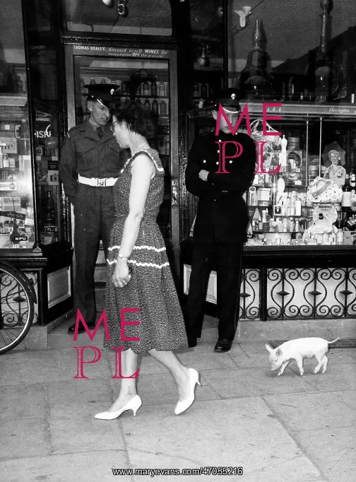 : Little Piggy : Little Piggy