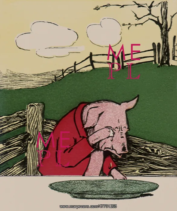  : This little piggy had none