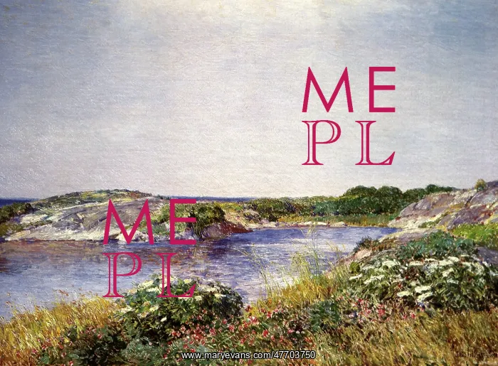  : The Little Pond, Appledore