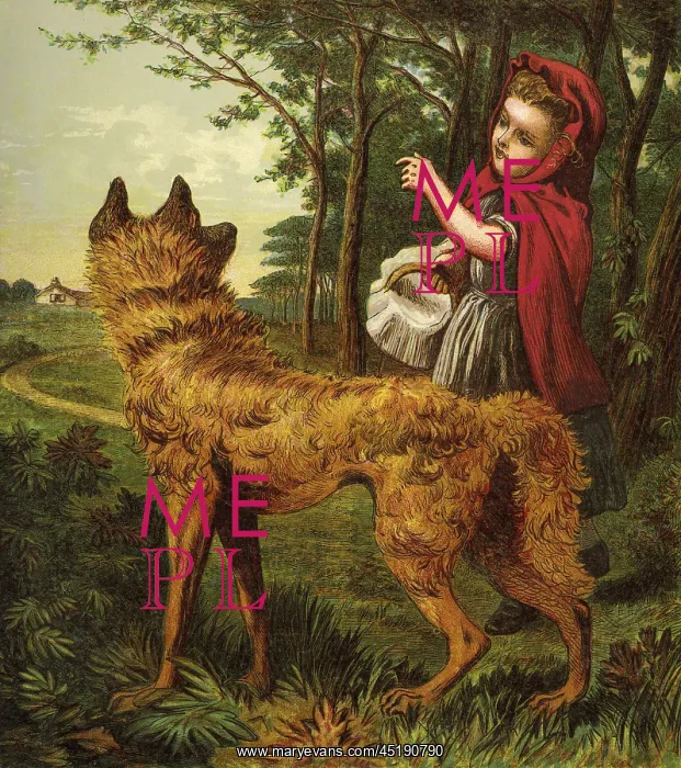 : Little Red Riding Hood : Little Red Riding Hood