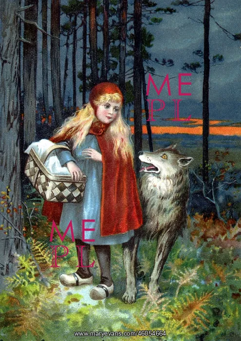 : Little Red Riding Hood : Little Red Riding Hood