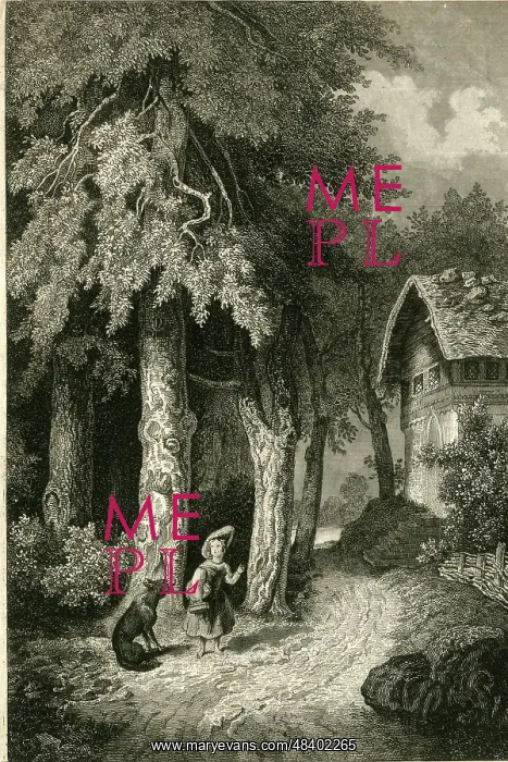  : Little Red Riding Hood and the Wolf