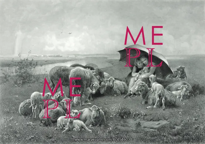  : The little shepherdesses