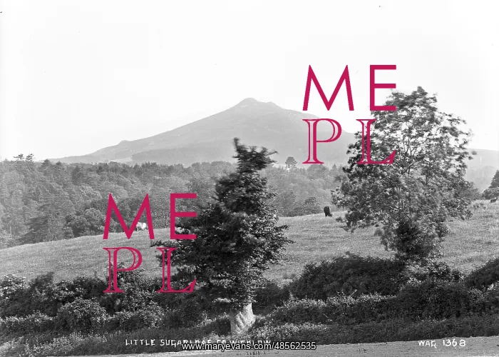 : Little Sugarloaf, Co. Wicklow : Little Sugarloaf, Co. Wicklow