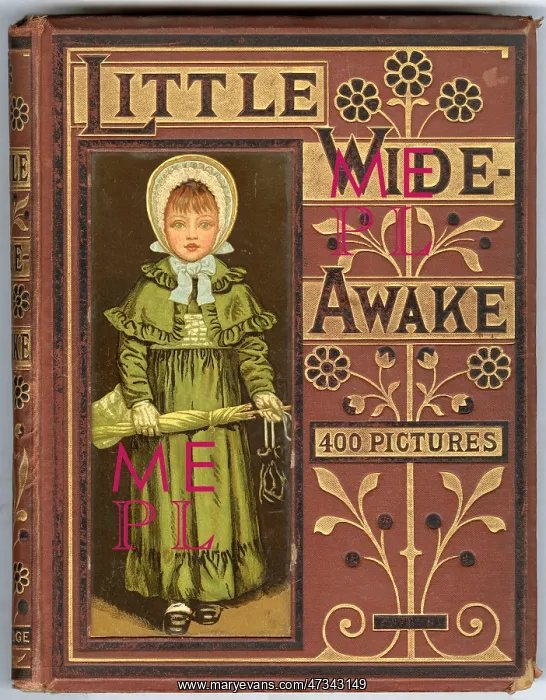  : Little Wide Awake Book