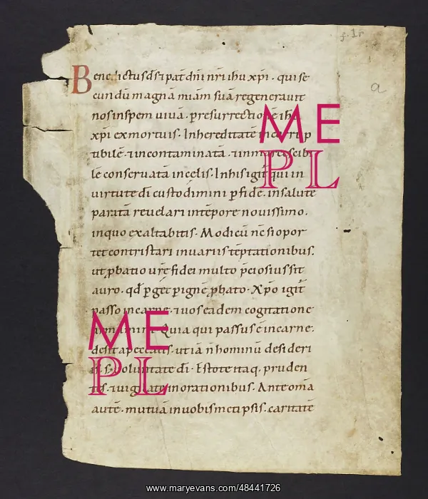 : Liturgical Text (Fragment) : Liturgical Text (Fragment)