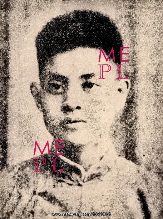 : Liu Hua's Life and Accomplishments : Liu Hua's Life and Accomplishments