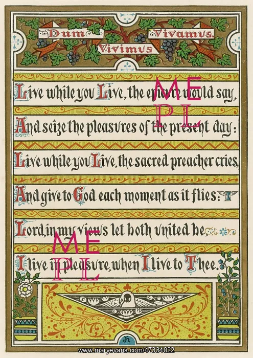 : LIVE WHILE YOU LIVE TEXT : LIVE WHILE YOU LIVE TEXT