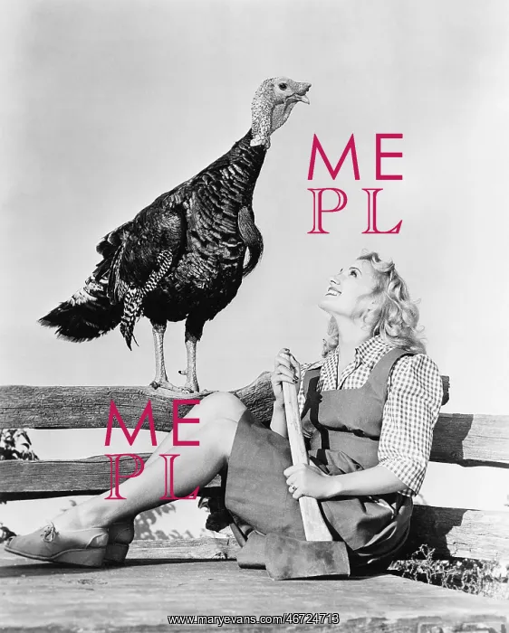 : Live turkey and woman with axe : Live turkey and woman with axe