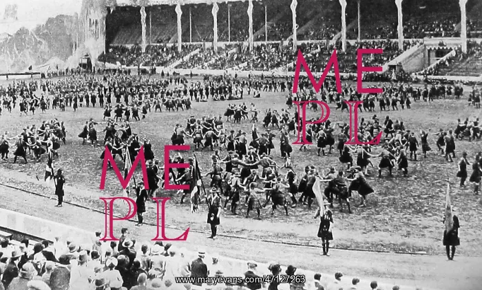  : Liverpool Boy Scouts Rally 1919