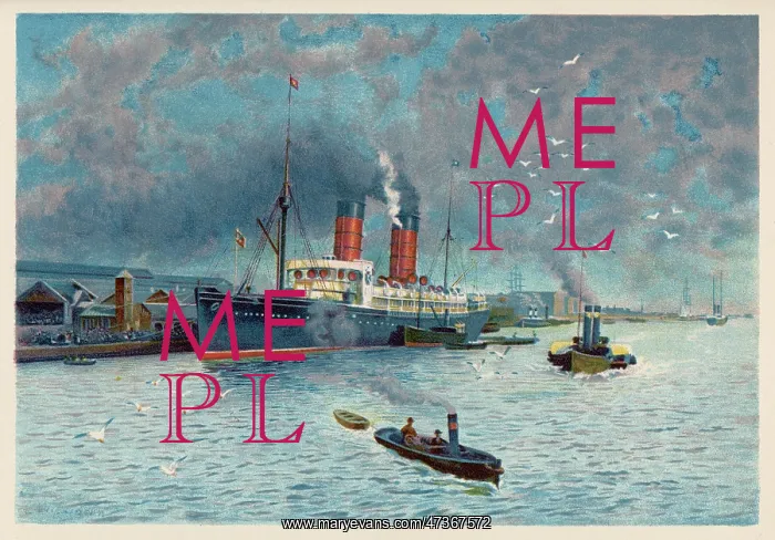 : LIVERPOOL DOCKS C1895 : LIVERPOOL DOCKS C1895