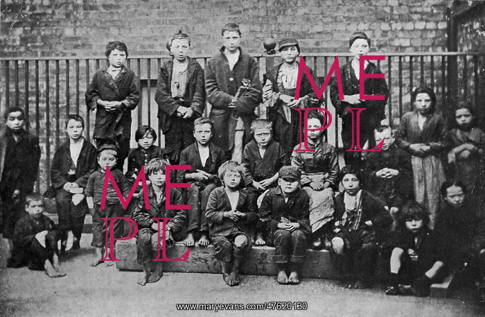 : Liverpool Robins Christmas Dinner Guests : Liverpool Robins Christmas Dinner Guests