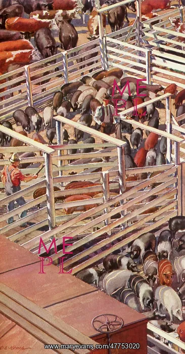 : Livestock : Livestock