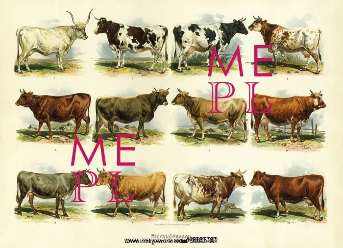  : Livestock farming