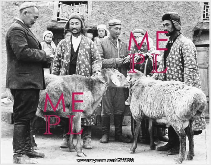 : LIVESTOCK FOR UKRAINE : LIVESTOCK FOR UKRAINE