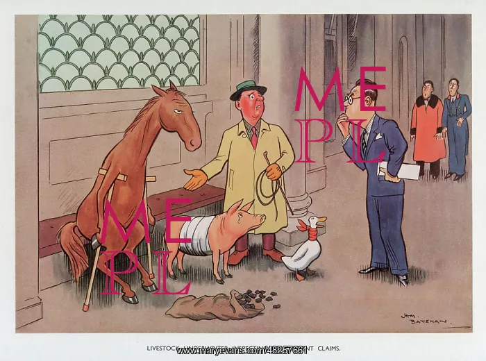 : Livestock Underwriter inspecting his current claims : Livestock Underwriter inspecting his current claims