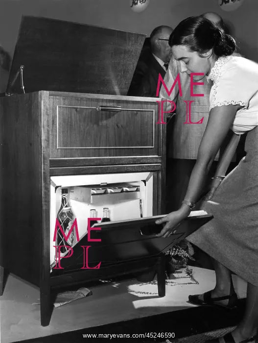 : Living in the 1950s - Fridge made of precious wood : Living in the 1950s - Fridge made of precious wood