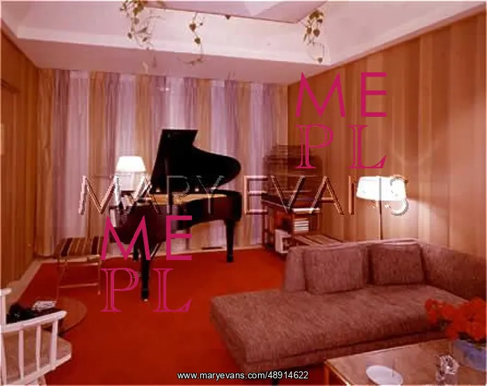 : LIVING ROOM 1970S : LIVING ROOM 1970S