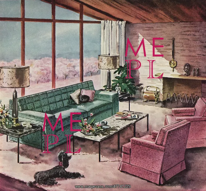 : Living Room : Living Room