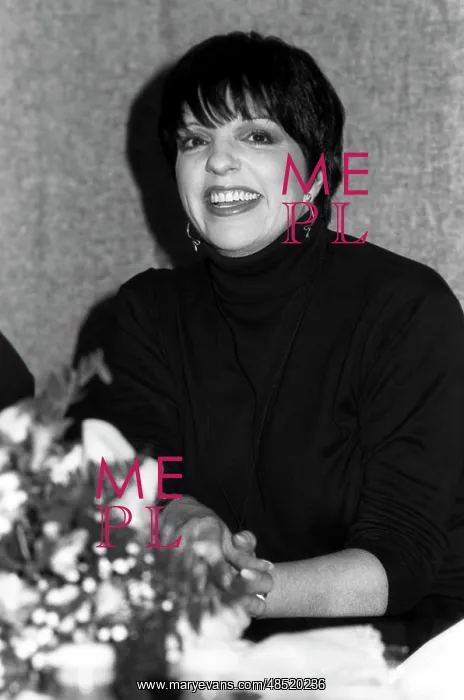 : Liza Minnelli, 1994 : Liza Minnelli, 1994