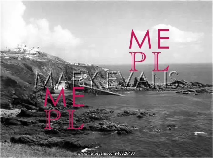 : LIZARD POINT : LIZARD POINT