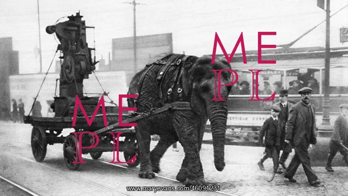 : Lizzie the munition war-worker in Sheffield, WW1 : Lizzie the munition war-worker in Sheffield, WW1