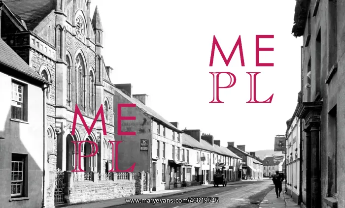  : Llandovery, High Street c1960
