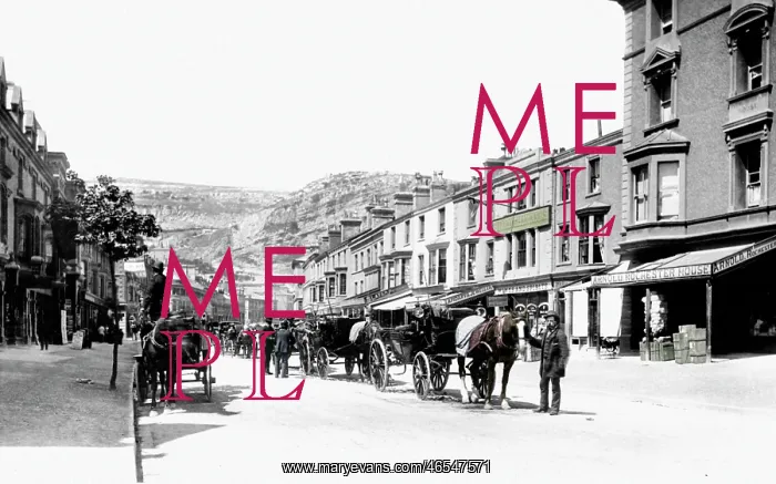  : Llandudno, Mostyn Street 1890