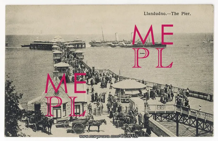  : LLANDUDNO / PIER C1910